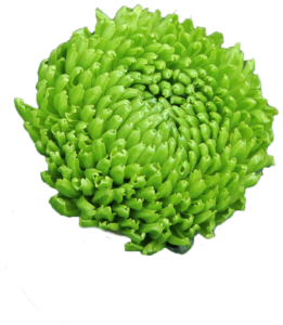 Deligreen