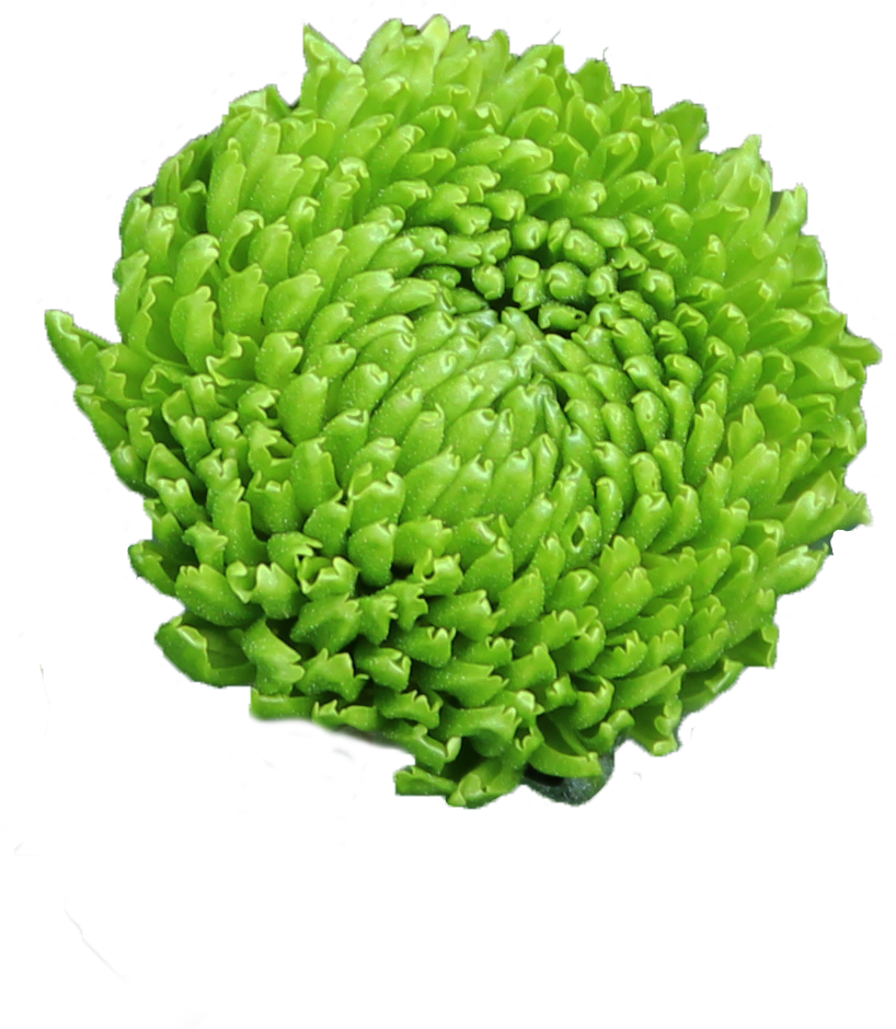 Deligreen